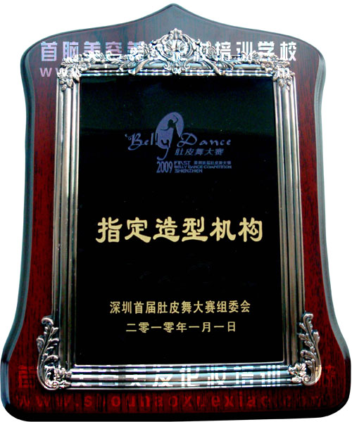 2010ꡰƤِ͙C
